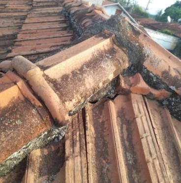 Imagem Manutenção Preventiva de Telhado