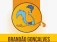 Logo de Brandão Gonçalves - Marido de Aluguel
